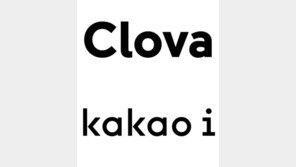 네이버와 카카오, 한 치 양보 없는 AI 영토싸움