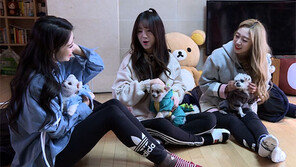 [오늘의 채널A] 러블리즈, 구조된 강아지 세 마리와 첫 만남