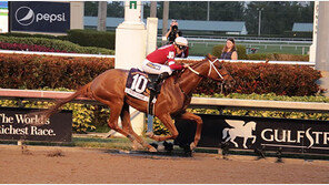 단 번의 경주, 170억원 대박