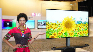 LG전자, 남아공서 OLED TV 등 소개