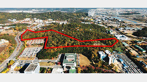 “대전시의 매봉산 근린공원 개발 안 된다”