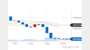 가상화폐 폭락…비트코인 1000만원 선 붕괴, 원인은?