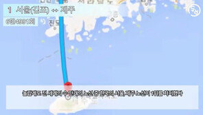 [대박! 이거 봤어?] 세계에서 가장 바쁜 항공 노선은 ‘서울-제주’