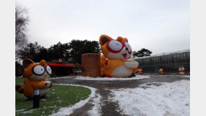 “평창올림픽 볼거리, 너구리마을 추가요”