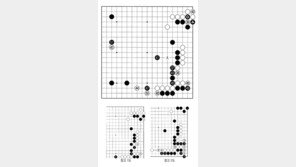 [바둑]알파고 vs 알파고 특선보… 알파고와 우칭위안