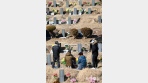설 앞두고… 한파 속 성묘