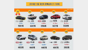 2018년 1월 국산차 판매순위… 현대기아차 ‘기선제압’