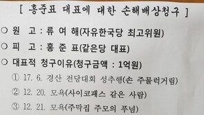 류여해, 홍준표 상대로 1억 원 손배소 “성추행·모욕·명예훼손 당했다”
