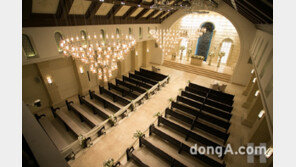 강남 노블발렌티, 일주일간 5주년 기념 50% 할인 이벤트