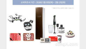 소비자가 선택한 2018 대한민국 대표브랜드는?