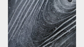 19일부터 사진작가 주기중 ‘COSMOS’ 사진전 