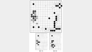 [바둑]알파고 vs 알파고 특선보… 속수로 알려져 있던 것