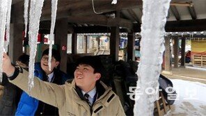 한파-폭설이 빚은 고드름