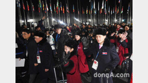 남북단일팀 꾸려졌지만…성인 33% “통일 필요성 공감안한다”