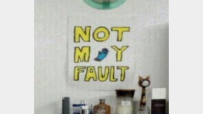 임은정 검사 “서지현 검사 일, (격무로 자살)김홍영 검사 일이기도”