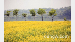 금도산업개발, 금강 조망 전원주택용지 분양… 3.3㎡당 160만~250만원