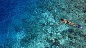 몰디브 사태, 휴양지와 무관?…“#비상사태는 개뿔 #평화로움 #걱정마” 