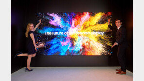 삼성전자,‘더 월’ 상업용 버전 공개