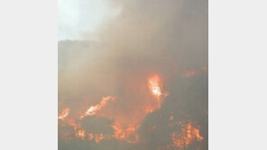 양산 토곡산 산불…양산소방서 “큰 불 잡혀…정리 단계”