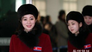 가평휴게소서 북한 응원단 목격, SNS 후기 보니…“배우처럼 예뻐” “남남북녀”