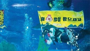 아쿠아리움 수조 안에서 세배