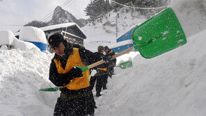 울릉도 폭설… “민가 길을 뚫어라”