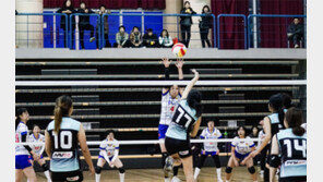 3월 서울에선 시민올림픽 막 오른다