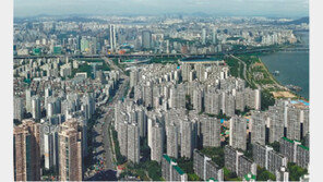 [전문가 칼럼]“강남 집값, 수급논리 무시하면 절대 못 잡아”