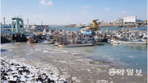 강추위에 발 묶인 배들