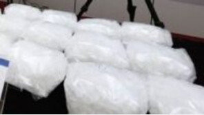 정석원, 왜 하필 ‘최악의 마약’ 필로폰을…신경망 파괴→심하면 간질·사망