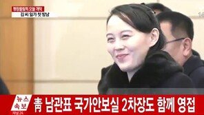 김여정,옅은 화장에 웃음 활짝…김영남, 김여정에 예의 갖춰 위상 실감