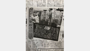 “대체 정체가 뭐야”…평창 男根 모양 조형물, 日서 폭발적 화제 