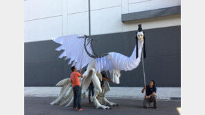 인면조 디자이너 “뜻밖의 반응…너무 감사”