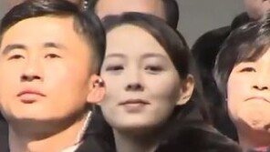 청와대, ‘김여정 오찬·접견’ 회동결과 발표…“김정은, 北 방문 요청”