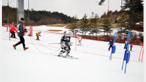 프로보다 느리지만 초보보다는…‘AI 로봇’의 스키실력은?