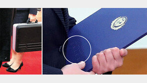 007가방 직접 들고 靑에 들어온 김여정