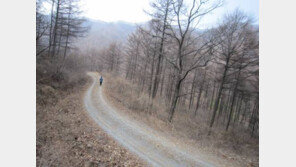“임도로 편하게 다녀오세요” 설 연휴기간 2만1064km 한시 개방