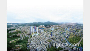 오피스텔 전매제한 확대… 비규제 오피스텔 ‘반사이익’