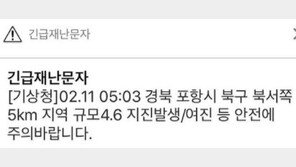 포항 지진피해, 전문가 “여진 아닐수도…큰 단층 움직이면 7.0도 가능”