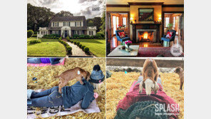 염소와 교감하다 치유된 사람들! ‘염소 호텔’ 은 어떤 모습?