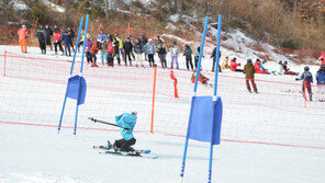 [영상]횡성서 세계 최초 로봇 스키대회 열려…1위는 미니로봇 ‘태권브이’