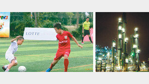 ‘글로벌 롯데’의 꿈… 국가별 맞춤전략 큰 그림