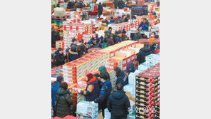 제수용 과일 경매로 분주한 청과물시장