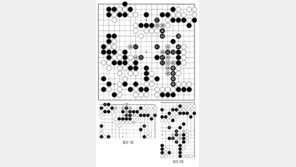 [바둑]알파고 vs 알파고 특선보… 폐석을 살려낸 이유