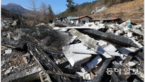 삼척산불 강풍 타고 25ha 쑥대밭