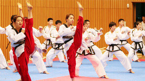 얍! 서울 한복판서 하나된 남북 태권도