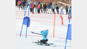세계 첫 로봇 스키 금메달은 ‘태권브이’