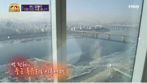 [스타부동산]황홀한 한강뷰, 소녀시대 써니의 럭셔리 하우스는 어디?