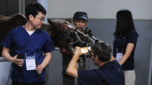 [경마] 마사회 부산경남, 개업 수의사 모집