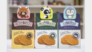 에버랜드 국내 테마파크 첫 ‘iF 디자인 어워드’ 수상